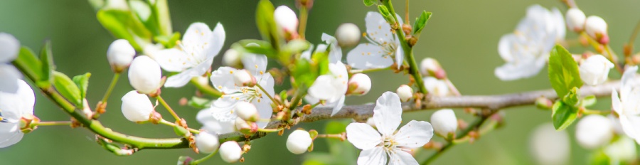 Edición de primavera para jóvenes directivos
